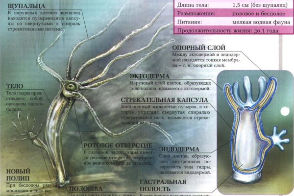 Браузер для кракен