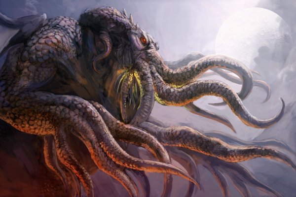 Kraken 20at