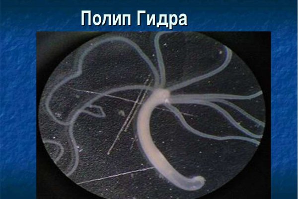 Кракен наркоз магазин