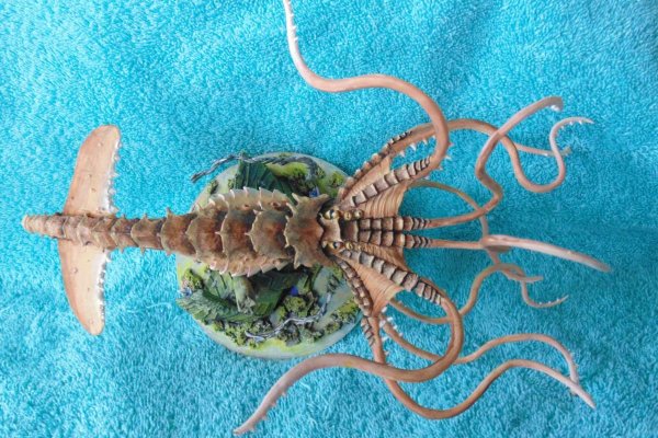 Kraken рабочий
